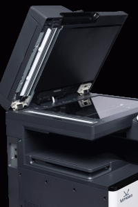 BOR13034 без фона